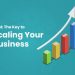 CRM Strategies to Scale Your Accounting Firm