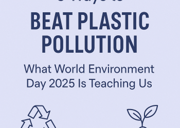 5 Ways to Beat Plastic Pollution: What World Environment Day 2025 Is Teaching Us