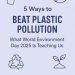 5 Ways to Beat Plastic Pollution: What World Environment Day 2025 Is Teaching Us