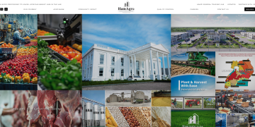 The Rise of Ham Agro: How Hamis Kiggundu Is Transforming Agribusiness in Uganda