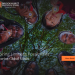 What Is the Brookhurst International School Fee Structure for 2025/2026?