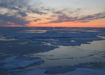 Arctic Ocean