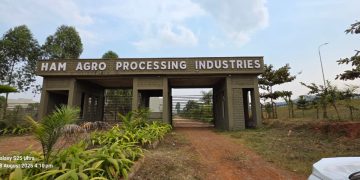 Inside Ham Agro: Vision, Mission, and the Drive Behind Uganda’s Agrarian Revolution