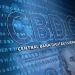 The Rise of CBDCs: Digital Currencies Reshaping Money