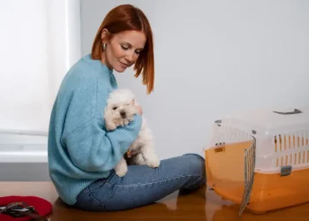 Top Animal & Pet Businesses in Bahrain: Veterinary Clinics, Supplies, and Services