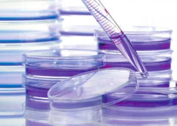 Cervical Cancer Vaccine Push Saves Millions of Lives