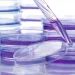Cervical Cancer Vaccine Push Saves Millions of Lives