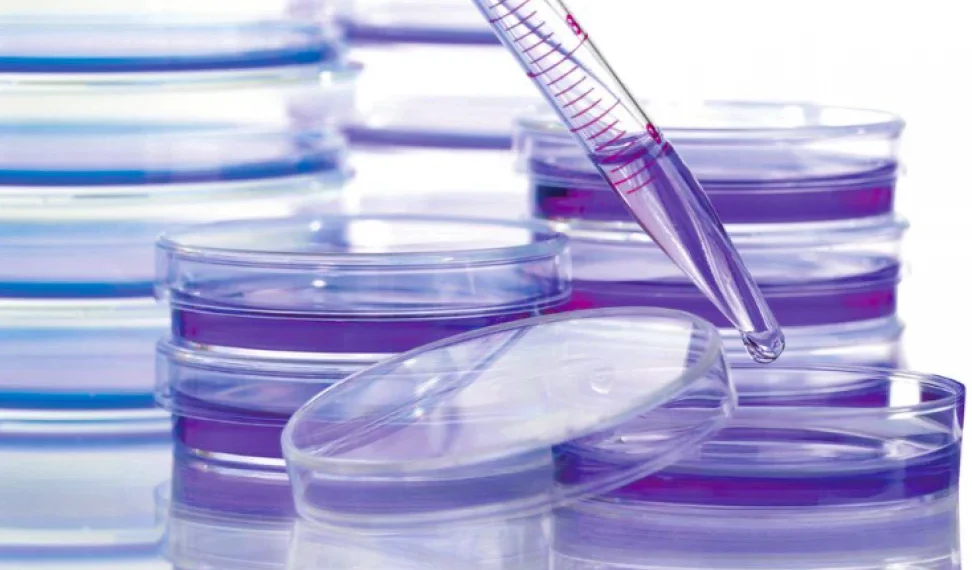 Cervical Cancer Vaccine Push Saves Millions of Lives