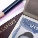 Types of Immigrant Visas: Work, Student & Investor