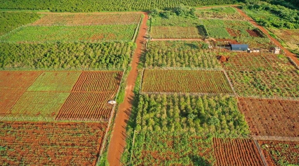 Process of Buying Land in Kenya: Step-by-Step Guide for 2026