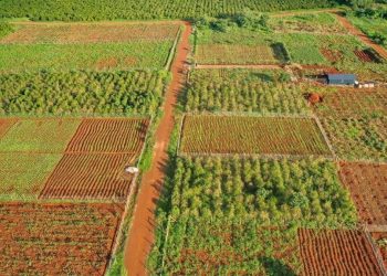 Process of Buying Land in Kenya: Step-by-Step Guide for 2026