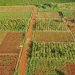 Process of Buying Land in Kenya: Step-by-Step Guide for 2026