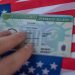 Green Card Applicants Post-Suspension Guide