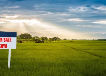 What Foreigners Should Know Before Buying Land in Kenya