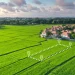 Ultimate Guide to Land in Kenya: Buying, Ownership, and Inheritance