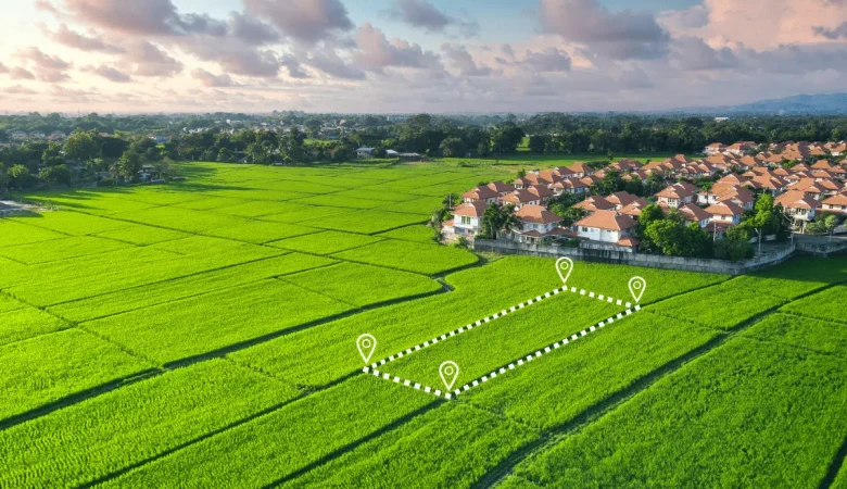 Ultimate Guide to Land in Kenya: Buying, Ownership, and Inheritance