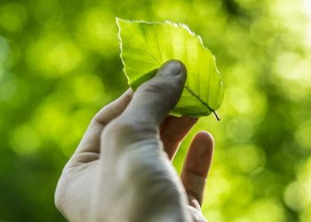 Sustainable Living on a Budget: Practical Tips for an Eco-Friendly Lifestyle