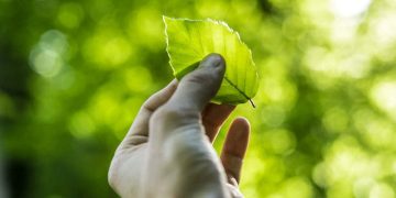 Sustainable Living on a Budget: Practical Tips for an Eco-Friendly Lifestyle