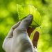 Sustainable Living on a Budget: Practical Tips for an Eco-Friendly Lifestyle
