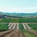Land Subdivision Process in Kenya