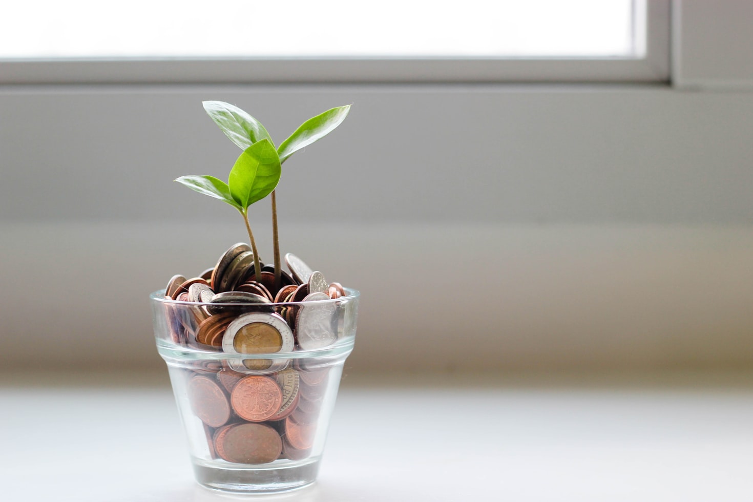Illustration of effective investment strategies during market volatility