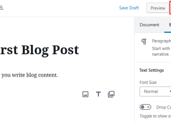 Start a WordPress Blog and Publish Your First Post in One Day