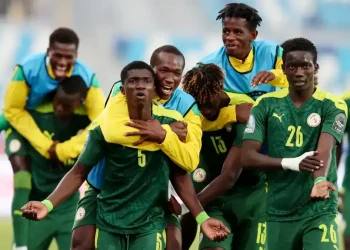 African Teams 2026: Who Qualified for the World Cup