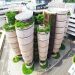 English-Taught Programs in Singapore Guide