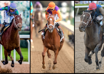 Why Kentucky Derby 2026 Is Trending (Shocking Reasons)