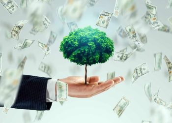Hand holding money tree with dollar bills representing wealth building and smart investment strategies for financial growth