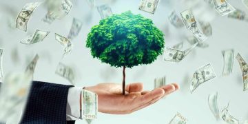 Hand holding money tree with dollar bills representing wealth building and smart investment strategies for financial growth