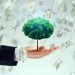 Hand holding money tree with dollar bills representing wealth building and smart investment strategies for financial growth