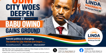 Babu Owino in Parliament with “ODM City Woes Deepen as Babu Owino Gains Ground” headline and Linda Mwananchi branding